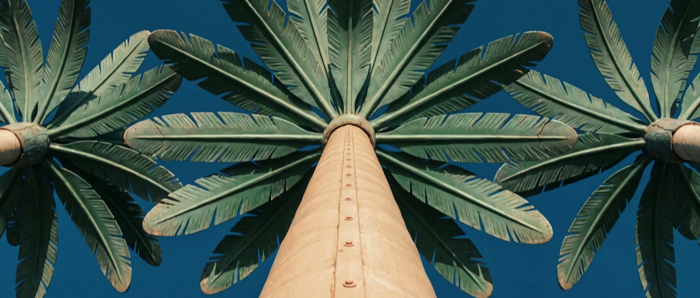 Palm avenue seen from below
